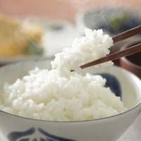 【毎回１０％増量】特別栽培米コシヒカリ(白米)5kg　定期6回コース