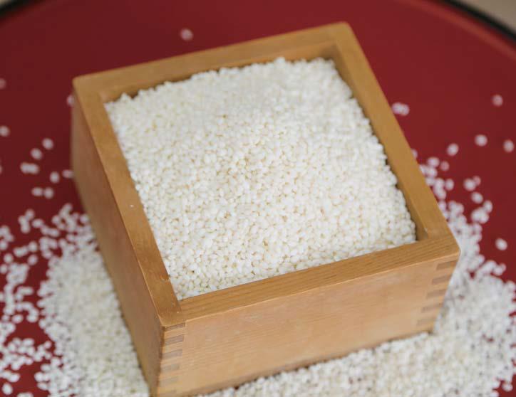 特別栽培米こがねもち(白米)5kg - 新潟森林（もりばやし）農園の商品