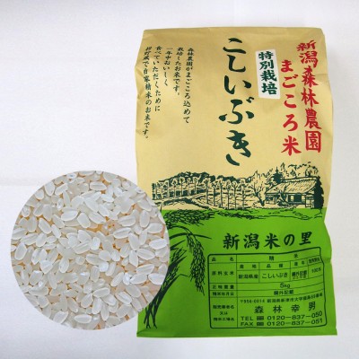【毎回１０％増量】特別栽培米こしいぶき(白米)10kg　定期6回コース