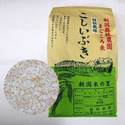【毎回１０％増量】特別栽培米こしいぶき(白米)10kg　定期12回コース