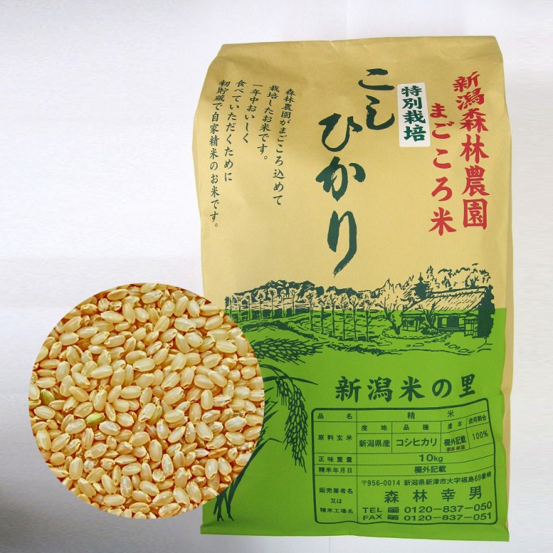 特別栽培米コシヒカリ(玄米)10kg