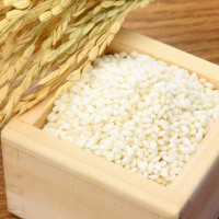 特別栽培米こがねもち(白米)10kg