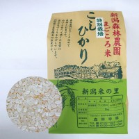 【毎回１０％増量】特別栽培米コシヒカリ(白米)5kg　定期6回コース