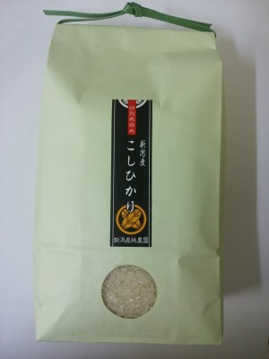 特別栽培米コシヒカリ(白米)2kg