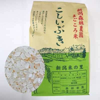 まごころ米　こしいぶき(白米)10kg